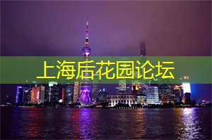 <strong>上海品茶工作室</strong>：上海的艺术装置与公共空间